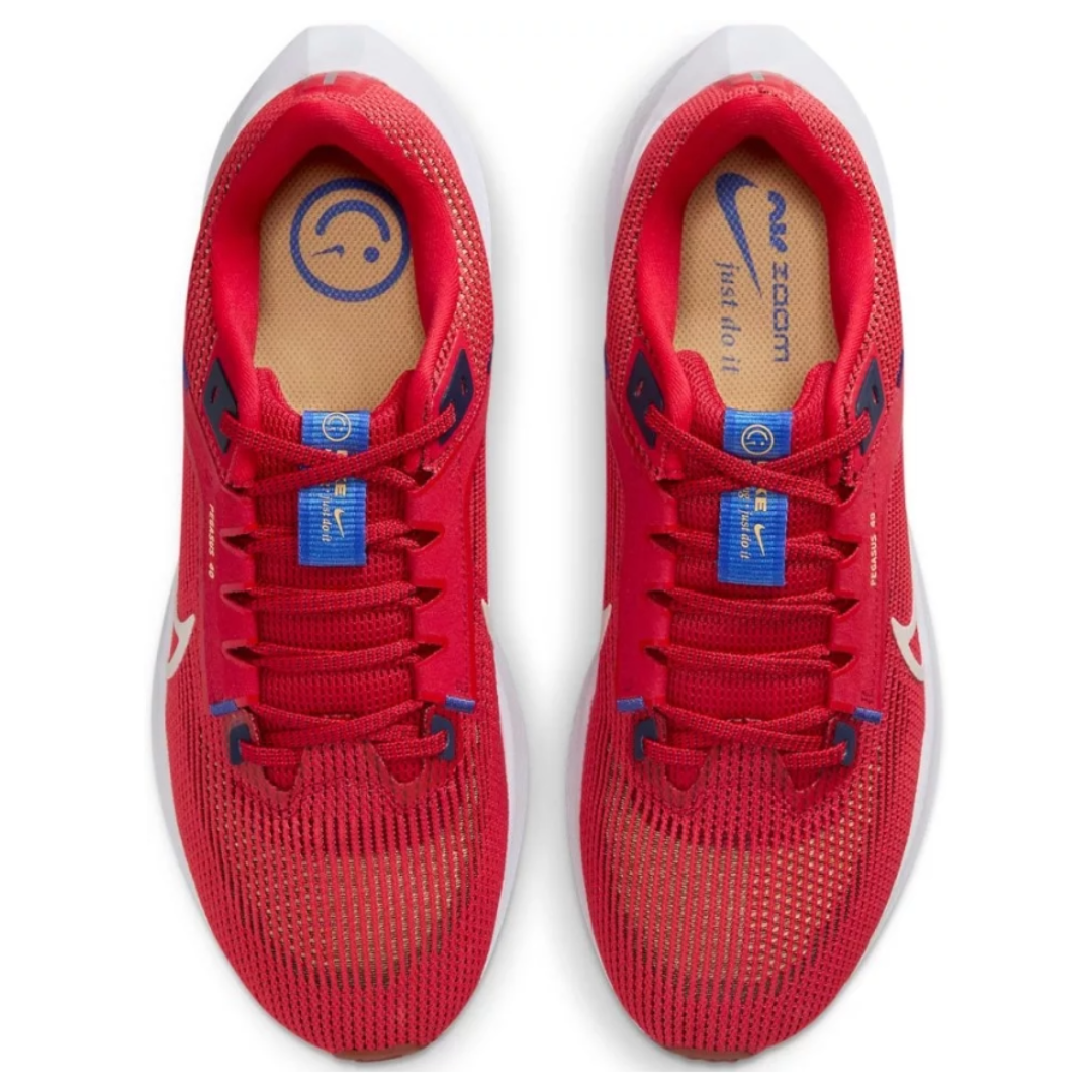 Zapatos Running para Caballero Air Zoom Pegasus 40