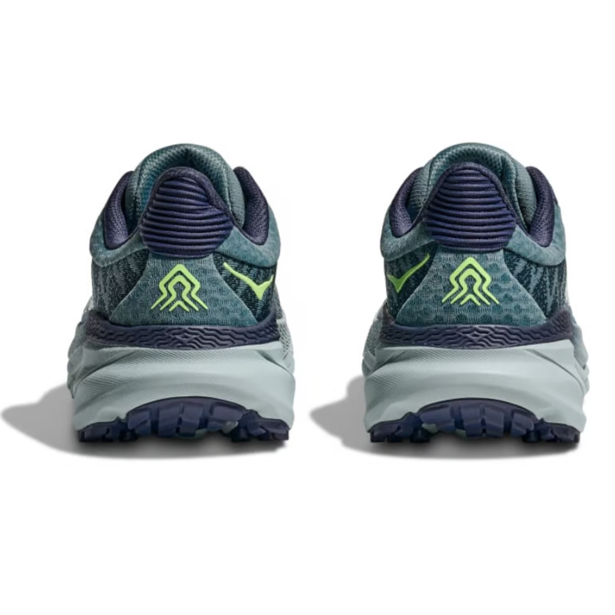 Zapatos de Trail para Caballero Challenger ATR 7
