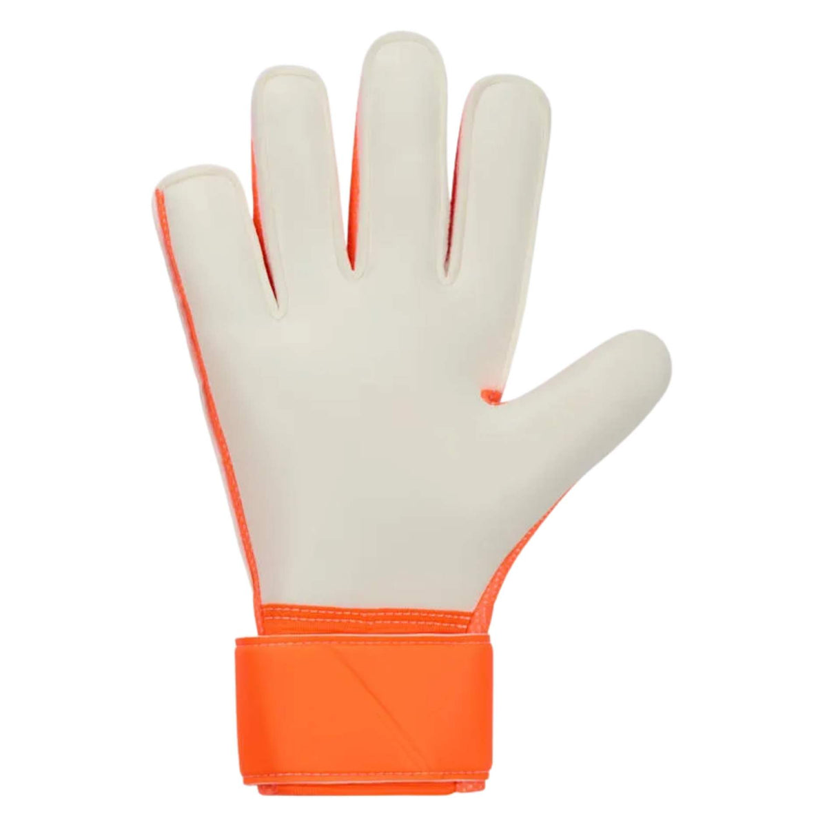 Guantes de Arqueros Match Adultos